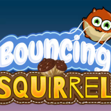 Bouncing Squirrel: Leap, Collect, and Defy Gravity in Nature's Playground!