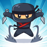 Fly High as the Ninja in an Epic Aerial Adventure!